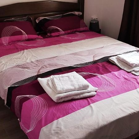 Apartament Confortabil In Targu Jiu Bagian luar foto