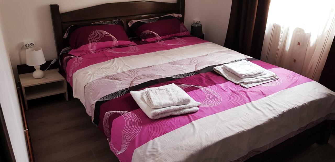 Apartament Confortabil In Targu Jiu Bagian luar foto